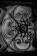 Wall_Art_Alphabet_Photography_Art_ 380